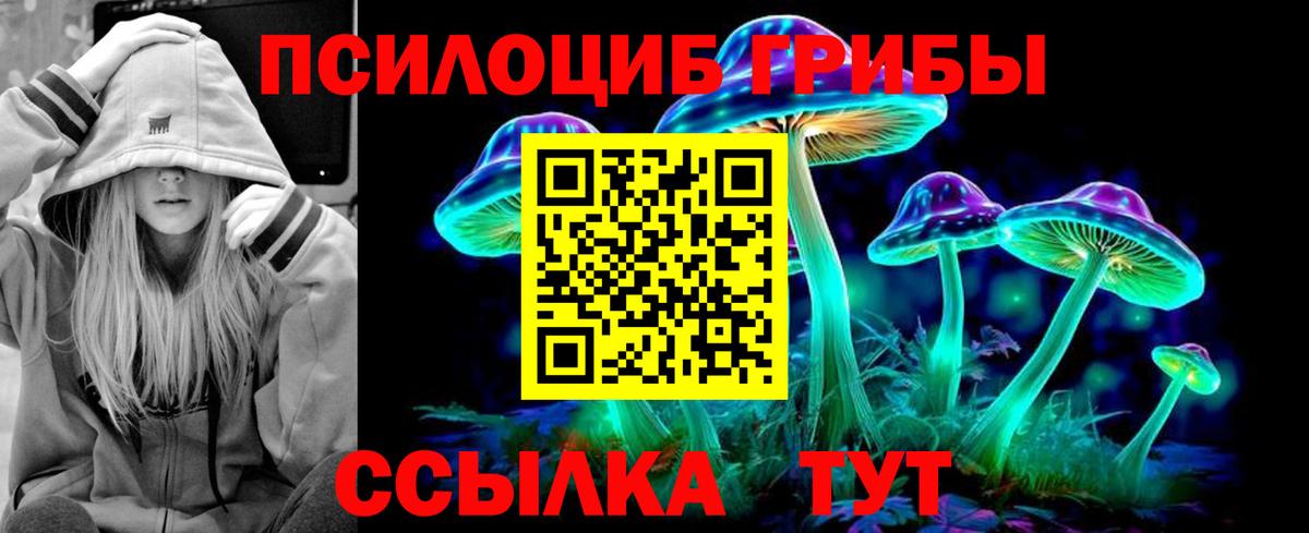 Галлюциногенные грибы Psilocybine cubensis  Вход с VPN  Заринск 