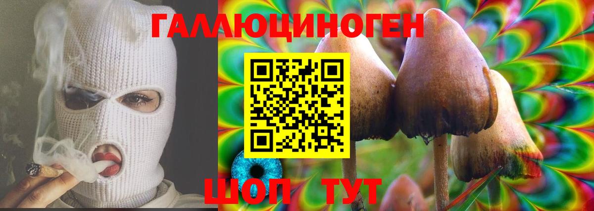 Псилоцибиновые грибы GOLDEN TEACHER Заринск